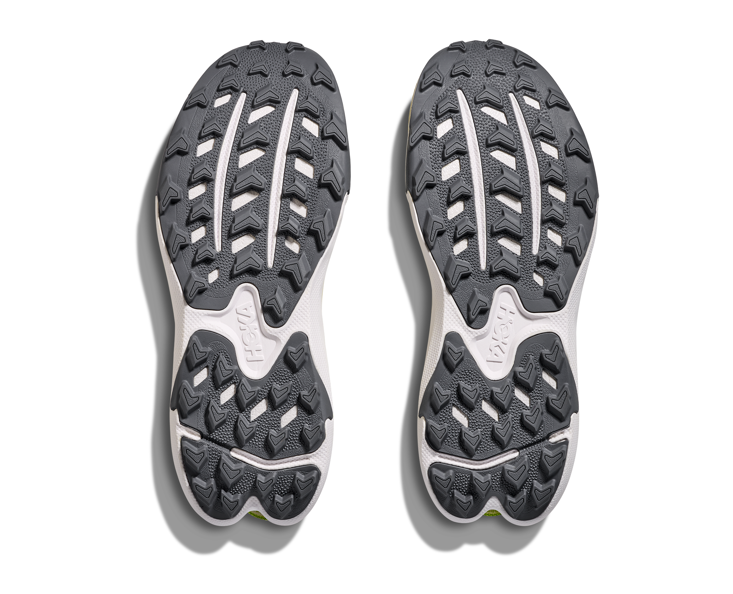 Torrent 4 W