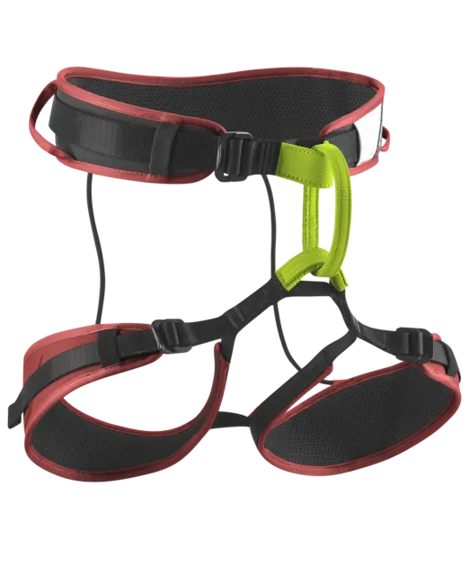 Zack Gym II