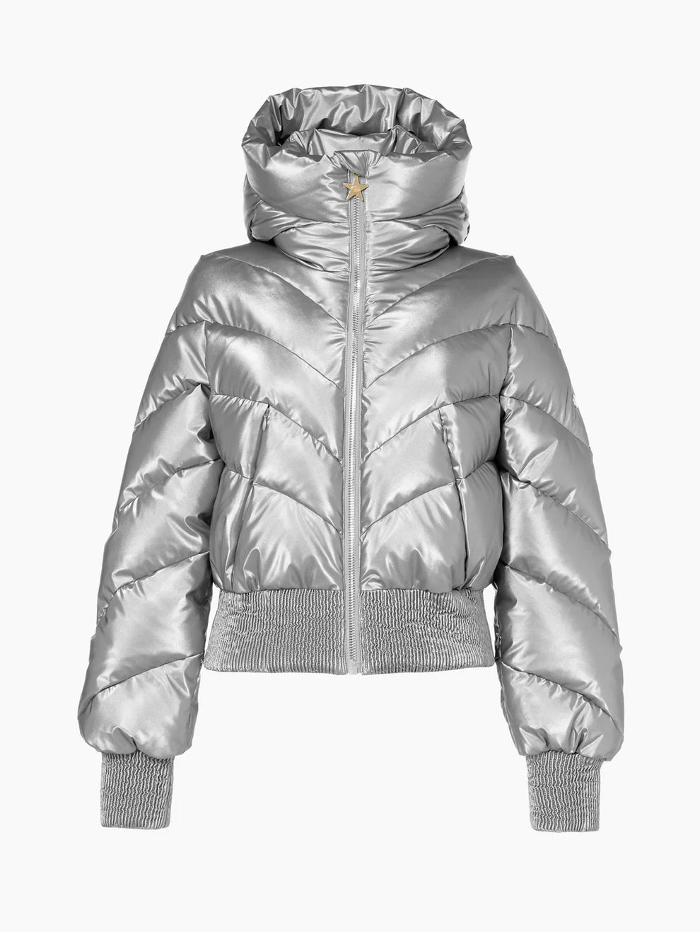silver Caro Ski Jacket W