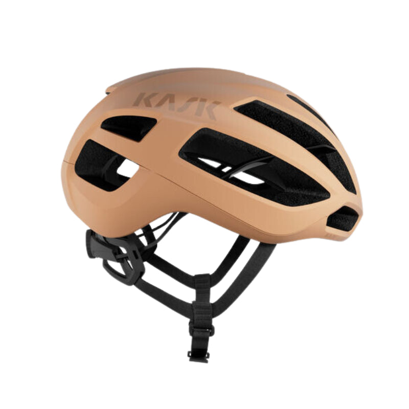 Protone Icon