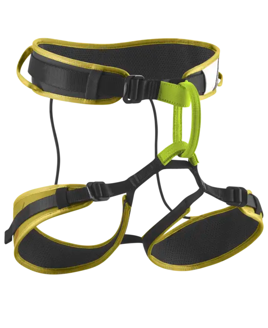 Zack Gym II