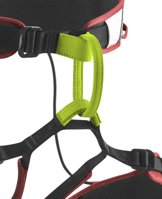 Zack Gym II