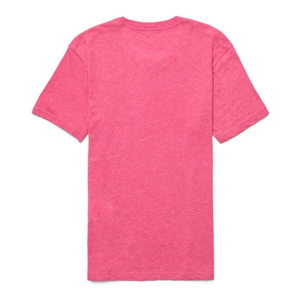 Llama Sequence Organ T-Shirt W