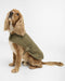 Transport Dog Coat